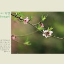 추무로