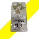 그린 월드 이미지