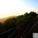 장골목장 이미지