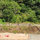 관심1길-6 이미지