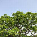 당산휴게소 이미지