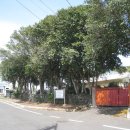 남원읍-5 이미지