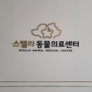 스텔라동물의료센터