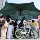 그늘막33 이미지