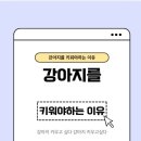 오마이펫