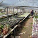 정감농장 이미지