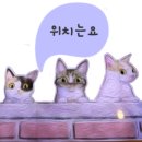 뎁짜이양재역점 이미지