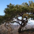 수리봉마을 이미지