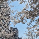 우시장천 이미지