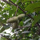 김종희농장 이미지