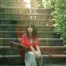 보라미유 카카오 검색결과