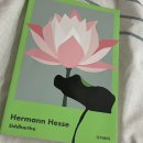 소로3-가오16 | 2025년 독서 결산