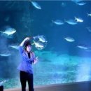 아쿠아플라넷 여수 이미지