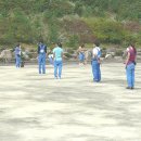 필애견훈련학교 이미지