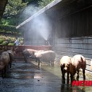 재남농장 이미지