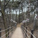 덕포시장 화장실(2주차장) | 왕과 사는 남자 실제 촬영지 영월 선돌 및 한반도지형 전망대 실제 후기 | 주차 소요시간 위치