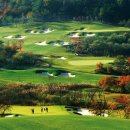 웰리힐리CC 페어웨이빌라(히든힐스) 이미지