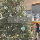 칠드아웃 - 세종특별자치시 다정중앙로 20 | 동래역 크리스마스 카페 칠드아웃 방문후기