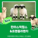 카피랜드 | 2026 에버랜드 튤립축제 기간·공연·꿀팁 총정리