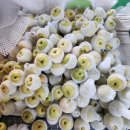 황금농장2 이미지