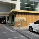 광은세탁소 | 치앙마이 숙소 후기(2), The Cosy Huay Kaew(2023/11/16~2023/12/16)