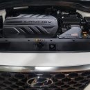 SHARK MOTOR OIL 이미지