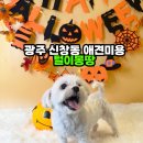 털이몽땅 이미지