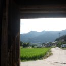 정온민박