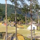 풍산단호로(풍산읍) 이미지