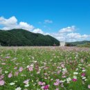 개화영농조합법인 이미지