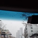 신당중부점 기아오토큐 이미지