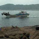 감생이민박 이미지