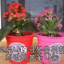 용안어린이집 이미지