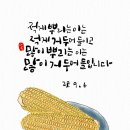 소망제책