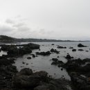 대포연대 이미지