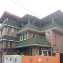 선산대로-54 이미지