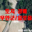 망월리 마을회관 이미지