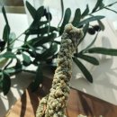 참진유통 이미지