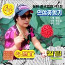 월림 Daum카페