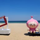 묵호역 Daum카페