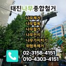 태진차유리 | 목동 아파트 나무전지, 답답한 시야와 일조권 고민? '단지 품격'을 높이는 조경 전문가에게 맡기세요!