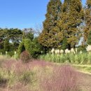 국립수산물품질관리원 인천지원 | [문화] 인천 가을 나들이 추천 2025 드림파크 국화축제! 안내도 장소 일정 주차 행사 프로그램