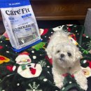 준 소프트 | [체험단] 쫑이가 추천하는 닥터맘마 케어핏 스킨 오븐베이크 사료 소프트 강아지 사료 급여후기