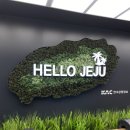 만땅PC카페 서귀포점 | [제주여행 후기] 한화리조트, 파크가든 흑돼지구이, 그리고 목장카페 밭디_3세 둥이 첫 비행 기록
