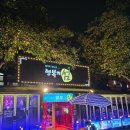 행복의섬 | 🌟 동촌유원지 핫플레이스 행복의섬 8090 음악전용 인생술집 이런곳이 있다고?