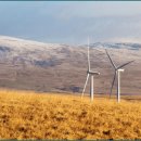 황금에너지 이미지