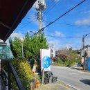 엑스포로539번길(유성-44) | 대전 오천항 간재미 식당 | 소갈딱지 밴댕이로 맛보는 점심 후기