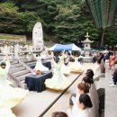 도리사 - 1026 | 도리사