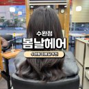 봄날헤어 | [수완지구 미용실] 봄날헤어 수완점 솔직후기