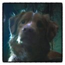 비디오보이 | [영화 후기] 굿 보이 (2025.10.26.) [★★]